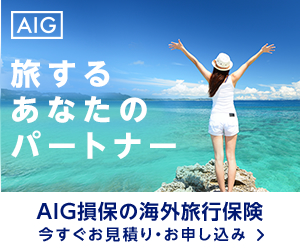 海外旅行保険・海外留学保険は、AIG損保